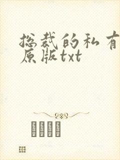 总裁的私有宝贝原版txt