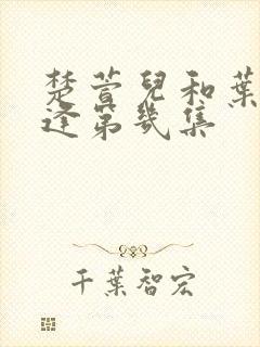 楚萱儿和叶辰重逢第几集