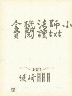 全职法师小说免费阅读txt
