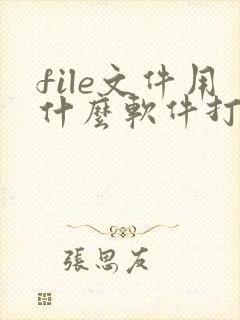 file文件用什么软件打开