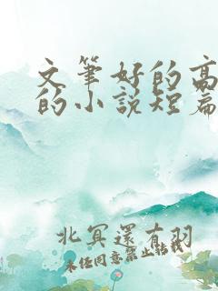 文笔好的高质量的小说短篇言情
