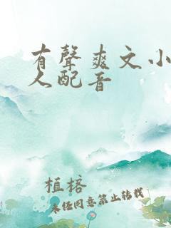 有声爽文小说双人配音