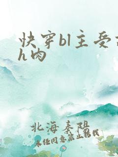快穿bl主受高h肉