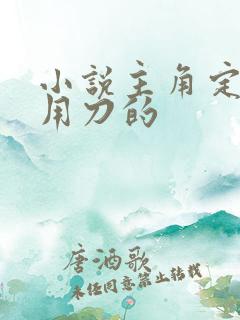 小说主角定风波用刀的