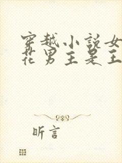 穿越小说女主桃花男主是王爷