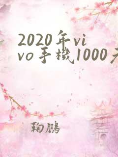 2020年vivo手机1000元左右哪个好