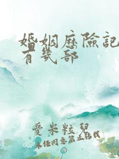 婚姻历险记一共有几部