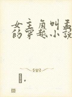 女主角叫孟什么的穿越小说