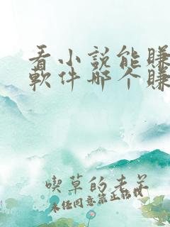 看小说能赚钱的软件哪个赚得多