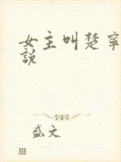 女主叫楚宁的小说