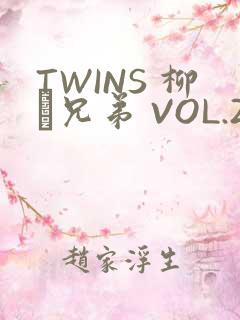 TWINS 柳澤兄弟 VOL.2