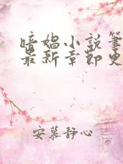 暗娼小说笔趣阁最新章节更新
