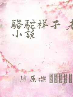 骆驼祥子 老舍小说