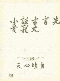 小说古言先婚后爱宠文