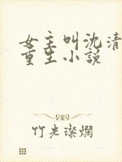 女主叫沈清宁的重生小说