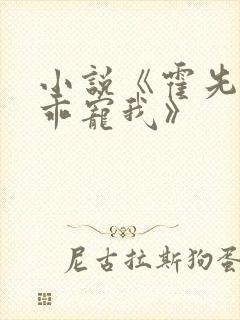小说《霍先生乖乖宠我》