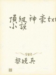 顶级神豪txt小说