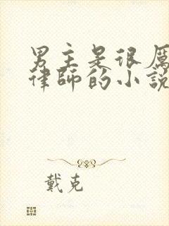 男主是很厉害的律师的小说