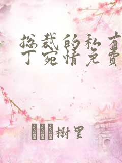 总裁的私有宝贝丁宛情免费阅读