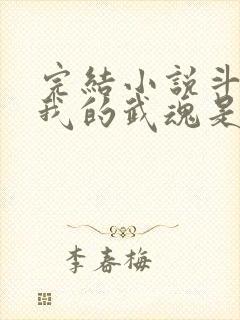完结小说斗罗之我的武魂是魂环