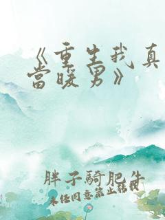 《重生我真没想当暖男》