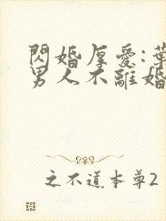 闪婚厚爱:叶家男人不离婚小说全文阅读