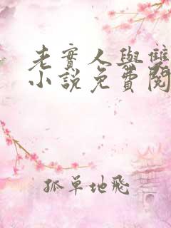 老实人与双胞胎小说免费阅读
