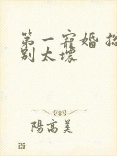 第一宠婚 总裁别太坏
