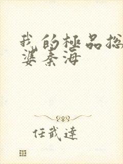 我的极品总裁老婆秦海