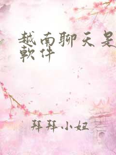 越南聊天是什么软件