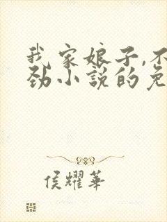 我家娘子,不对劲小说的免费阅读