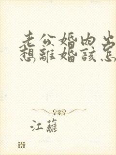 老公婚内出轨我想离婚该怎么办