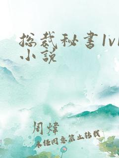 总裁秘书1v1小说