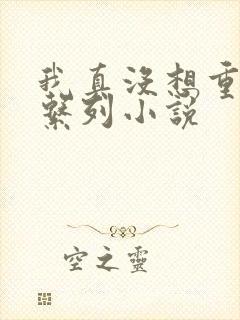 我真没想重生啊系列小说