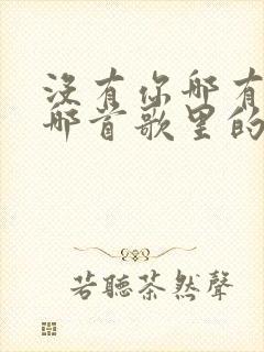没有你哪有我是哪首歌里的歌词