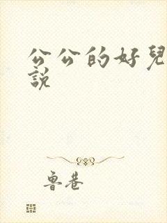 公公的好儿媳小说