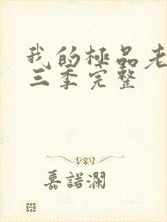 我的极品老婆第三季完整