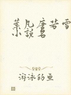 叶凡唐若雪医婿小说名