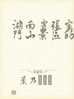 湖南省张家界天门山景区的门票价格