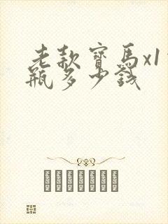 老款宝马x1电瓶多少钱