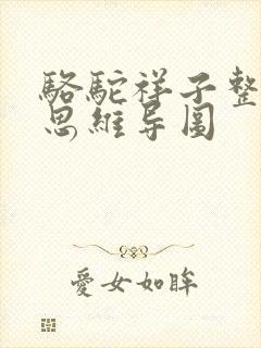 骆驼祥子整本书思维导图