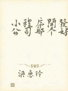 小程序开发定制公司哪个好
