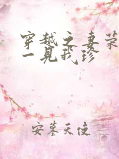 穿越之妻荣夫贵一见我珍
