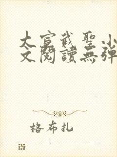 大宣武圣小说全文阅读无弹窗