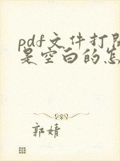 pdf文件打开是空白的怎么办