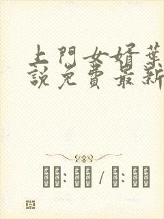 上门女婿叶辰小说免费最新