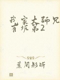 我家大师兄脑子有坑第2