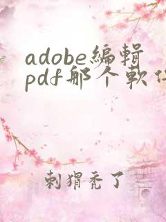 adobe编辑pdf那个软件名叫