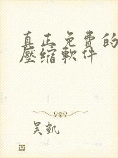 真正免费的视频压缩软件