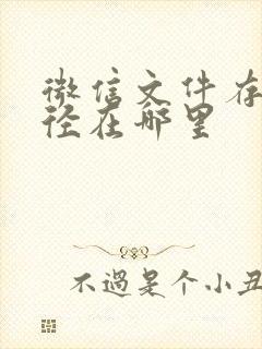 微信文件存储路径在哪里